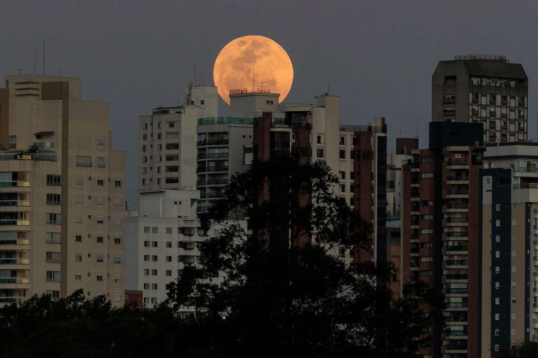 AME5446. SAO PAULO (BRASIL), 30/08/2023.- Fotografía de la superluna azul, hoy en la ciudad de São Paulo (Brasil). La próxima luna azul será en 2026, pero no será superluna, suceso para el que habrá que esperar hasta el año 2037. EFE/ Isaac Fontana