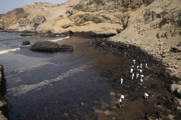 Playas negras y aves muertas tras el derrame de crudo en  Perú