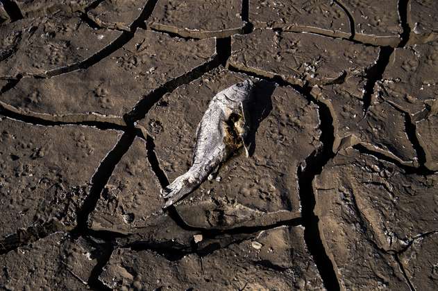 El mundo ya está viviendo sequías mucho más duras y el futuro podría ser peor