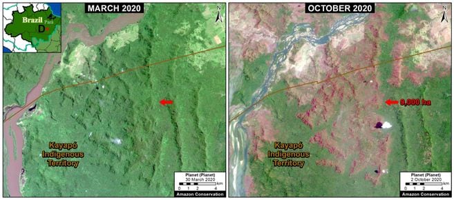  Incendio forestal en la Amazonía brasileña (Estado de Para) que quemó 9,000 hectáreas entre marzo (panel izquierdo) y octubre (panel derecho) 2020. Datos: Planet.