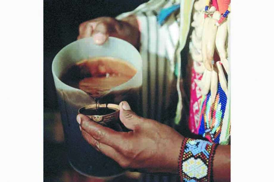 La comunidad cofán considera que el yagé es sagrado para ellos y por lo tanto Varela no tiene legitimidad para usarlo. / AFP