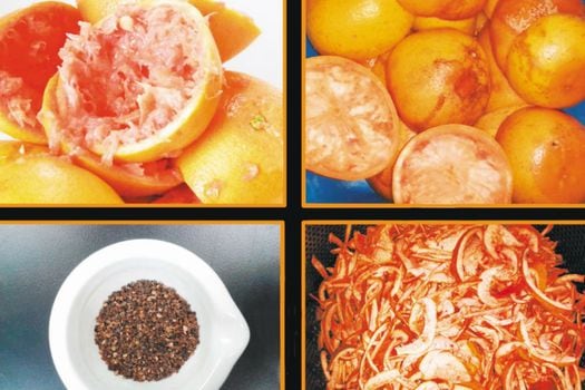 Al final de proceso que hacen los investigadores, las cáscaras de naranja queda convertidas en un material poroso y absorbente.  / Cortesía Cideteq