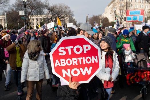 Las marchas contra del aborto se tomaron Washington, Estados Unidos, en enero. Alabama acaba de aprobar la ley más restrictiva.  / AFP