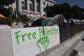 Biden pide orden en campus universitarios ante protestas estudiantiles por Gaza 