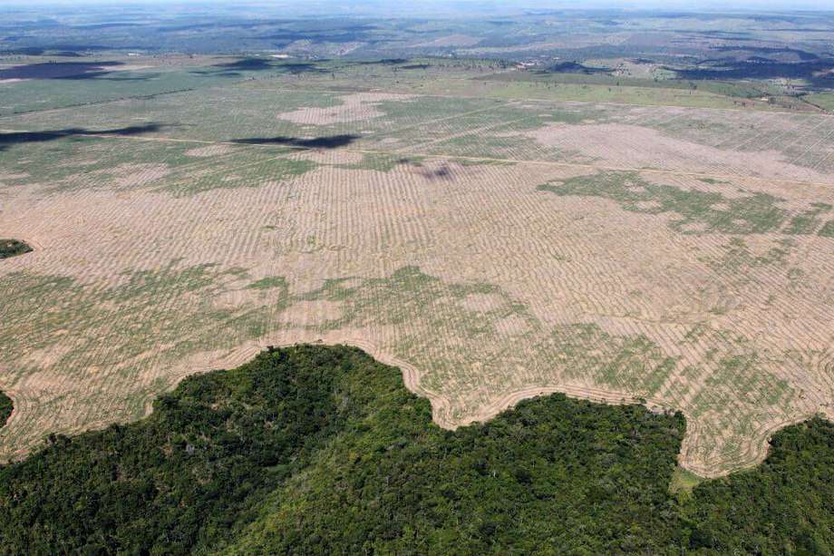 El problema de la deforestación influye directamente en el cambio climático. En Colombia, explicó el Minambiente en 2023, gran parte de la responsabilidad sobre esta situación se debe a los acaparadores de tierra y estructuras de narcotráfico.