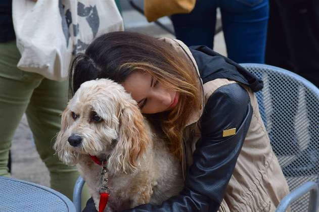 Terapia canina y otros métodos de España para ayudar a las víctimas de violencia machista