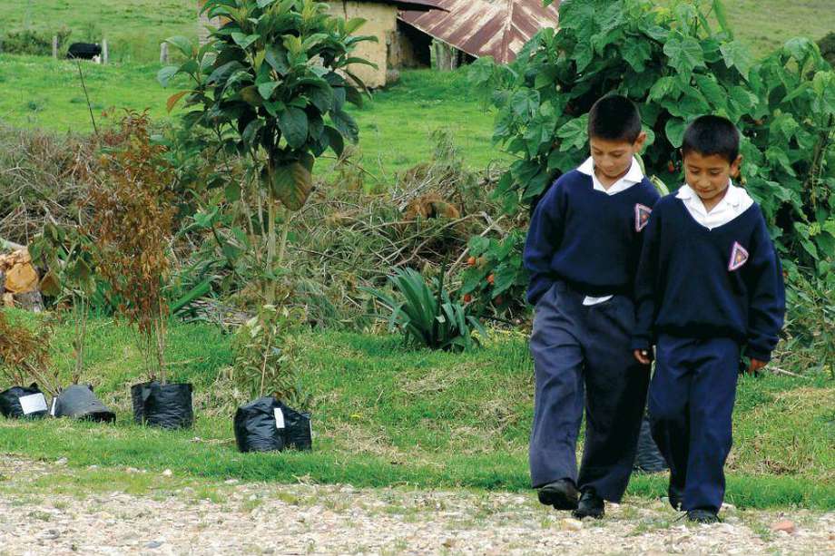 La difícil situación de las escuelas rurales en Colombia