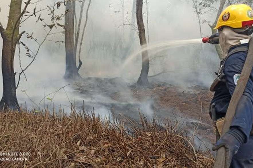Según Eric Deulufeut, bombero forestal de la zona, en lo que va corrido de 2021 se han registrado cuatro incendios en el parque.