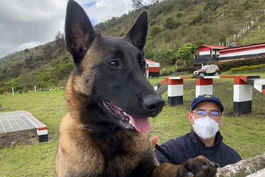 El perro lleva un año trabajando con el equipo de rescate de los Bomberos de Bogotá. 