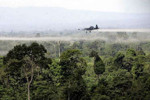 Foto de Archivo de fumigación aérea sobre cultivos en el sur de Colombia.EFE/POLICIA NACIONAL. 
