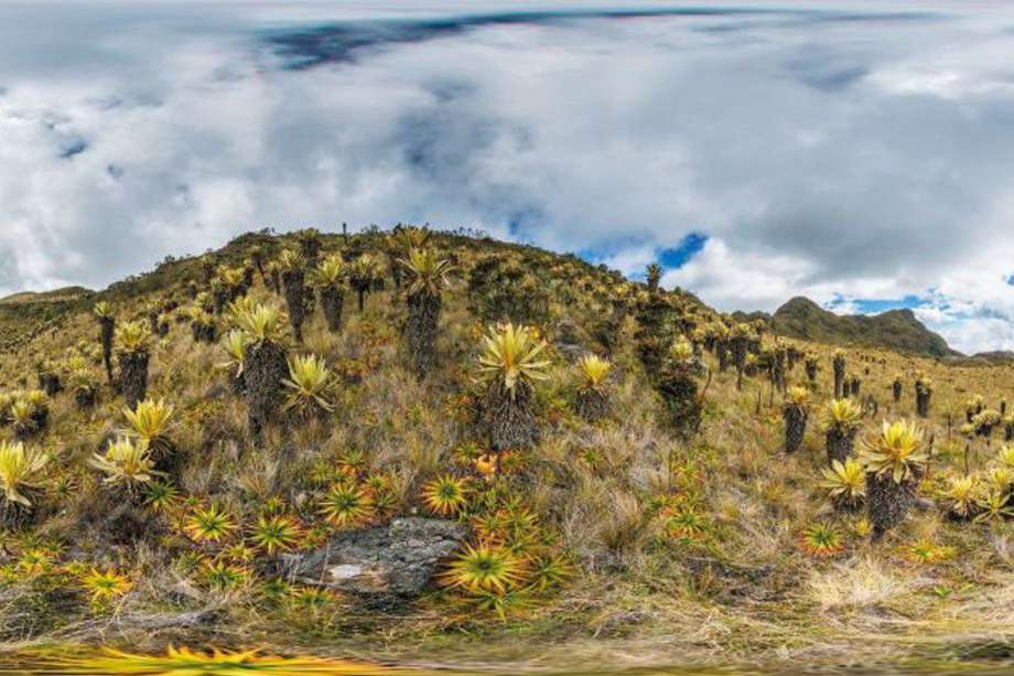 El complejo de páramos Las Hermosas tiene más de 192.000 hectáreas, parte de ellas fueron declaradas Parque Nacional Natural en 1997.