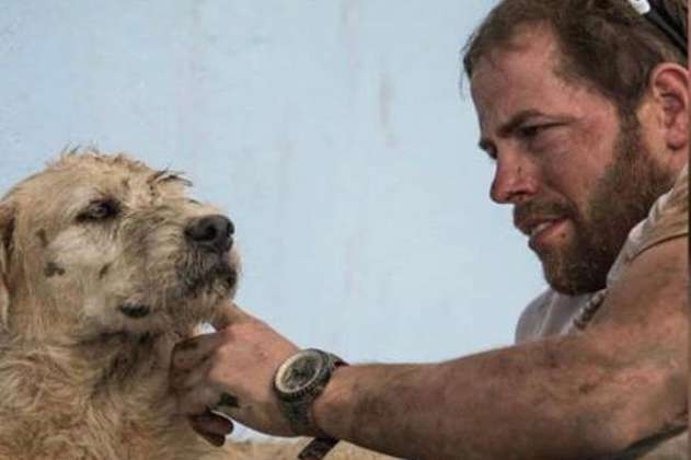 La historia de Arthur, el perro callejero que inspiró una película de Hollywood