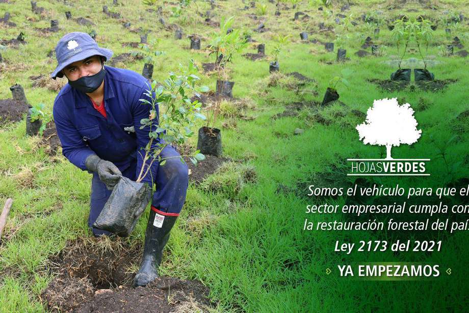 Hojas Verdes ofrece a las empresas del país la oportunidad de cumplir con lo dispuesto en la Ley 2173 .