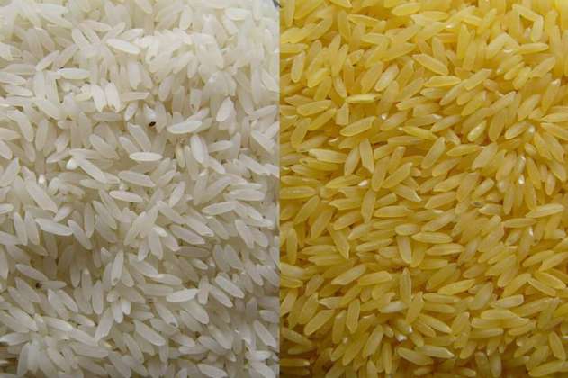 El arroz modificado genéticamente que combatiría la ceguera