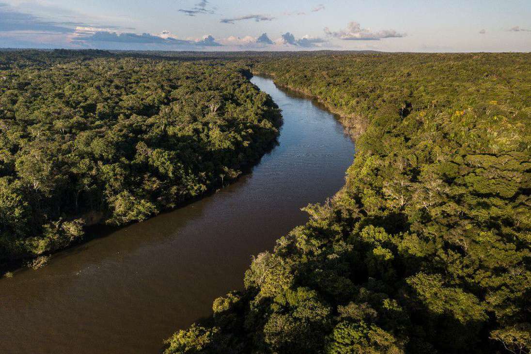 En esta región, que tiene territorio en 8 países y un territorio de ultramar (Brasil, Bolivia, Perú, Colombia, Ecuador, Venezuela, Guyana, Surinam y la Guyana francesa), viven alrededor de 35 millones de personas, entre ellas más de 2,6 millones de indígenas.