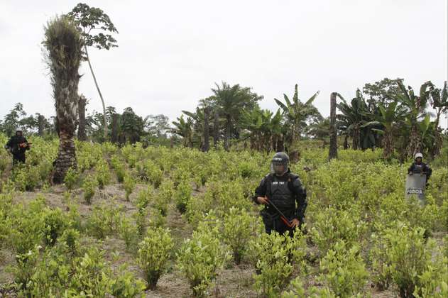 Críticas de FARC a nuevo proyecto de tratamiento diferenciado a pequeños cultivadores