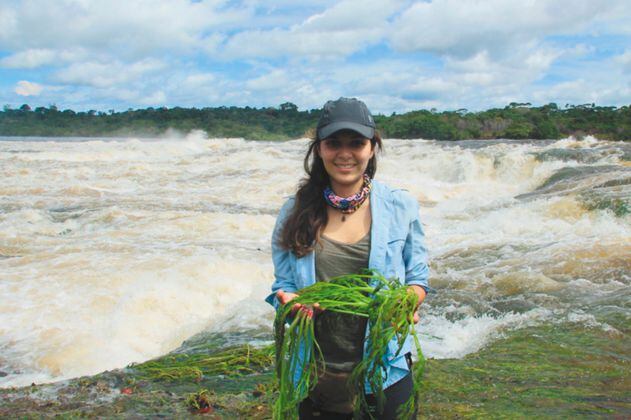 Las plantas que esconden en su ADN los cambios de los ríos de Colombia