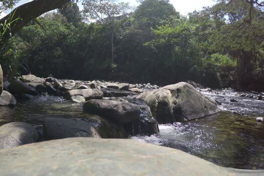 El río Pance está ubicado en el departamento del Valle del Cauca / El Río Blog