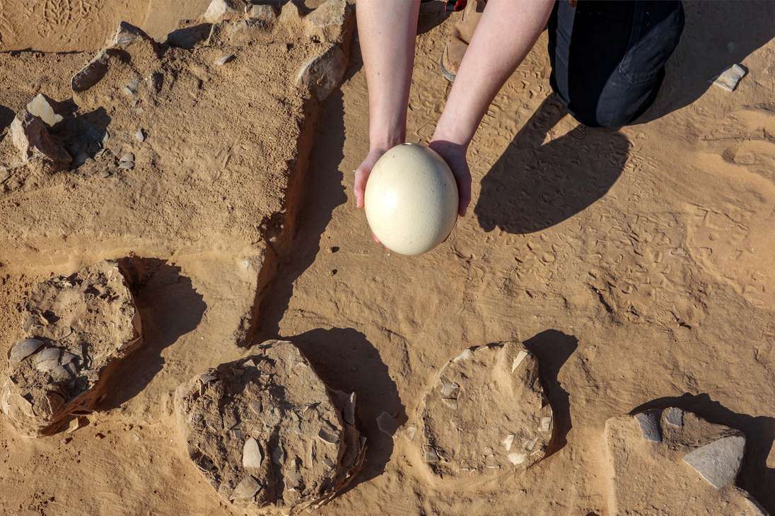 This picture taken on January 12, 2023 shows a view of discovered ostrich egg fragments dating over 4000 years discovered by the Israel Antiquities Authority (IAA) at a site in the dunes near Nitzana along the Israel-Egypt border in the western Negev desert. - Experts say the finds provide insight into the life of the ancient peoples inhabiting the region. The eight crushed eggs were located at a camp site used by nomads "since prehistoric times," said Lauren Davis, the Israel Antiquities Authority excavation director. Their proximity to the fire, alongside stones, flint, tools and pottery sherds, implies that the eggs were to be cooked, said Davis. (Photo by GIL COHEN-MAGEN / AFP)