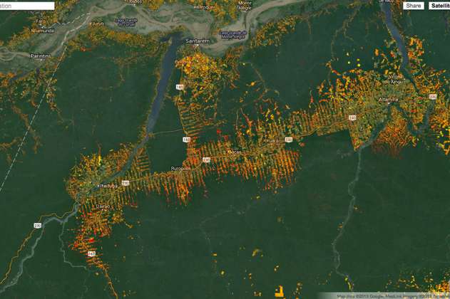 Indígenas podrán mapear deforestación amazónica con nuevo Google Earth 