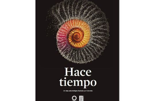 El libro “Hace tiempo. Un Viaje paleontológico ilustrado por Colombia” fue el ganador en la categoría Ciencias Exactas, Físicas y Naturales. / Instituto Humboldt