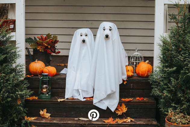 ¿Cómo celebrar Halloween de forma creativa y segura?