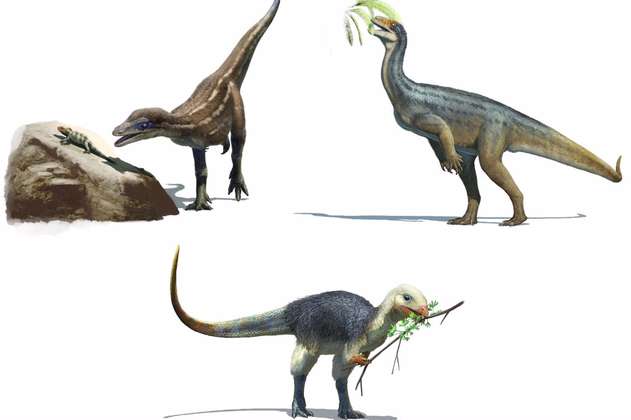 Algunos dinosaurios evolucionaron para hacerse vegetarianos, según estudio 