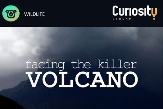 Hay 1500 volcanes activos en todo el mundo y cada año erupcionan 60 de ellos.