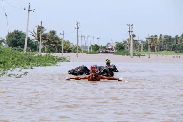 Casi 190 muertos y cientos de miles de evacuados por lluvias torrenciales en India