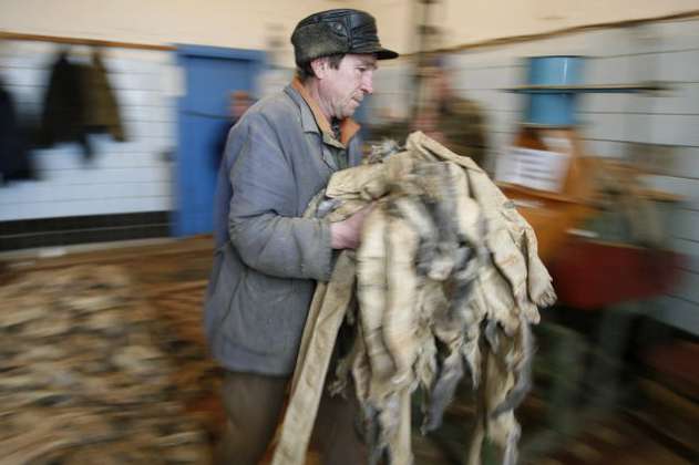 Noruega prohibirá todas sus granjas productoras de pieles animales antes de 2025