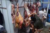 Desmantelan mataderos clandestinos donde vendían carne de burro en mal estado