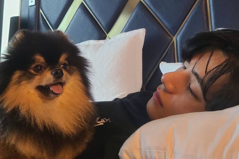 BTS: Taehyung le dedicó su primer disco, Layover, a su tierno perro Yeontan | Noticias hoy | EL ESPECTADOR