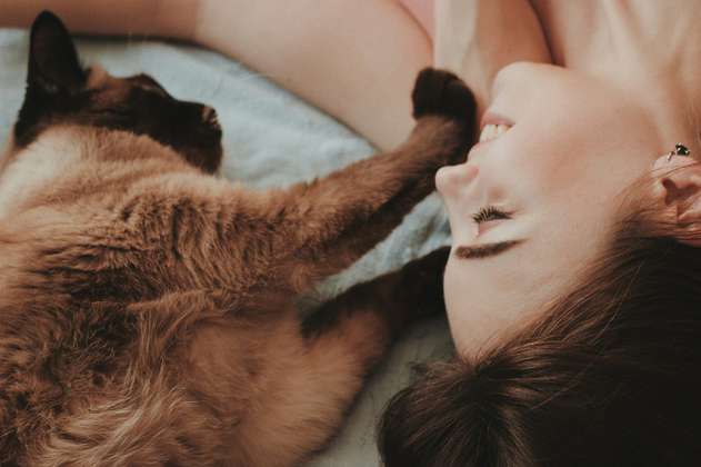 4 señales de que tu gato te quiere: así te lo demuestra