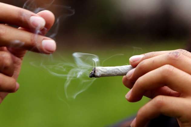 Cannabis de uso recreativo, la apuesta de 20 representantes a la Cámara