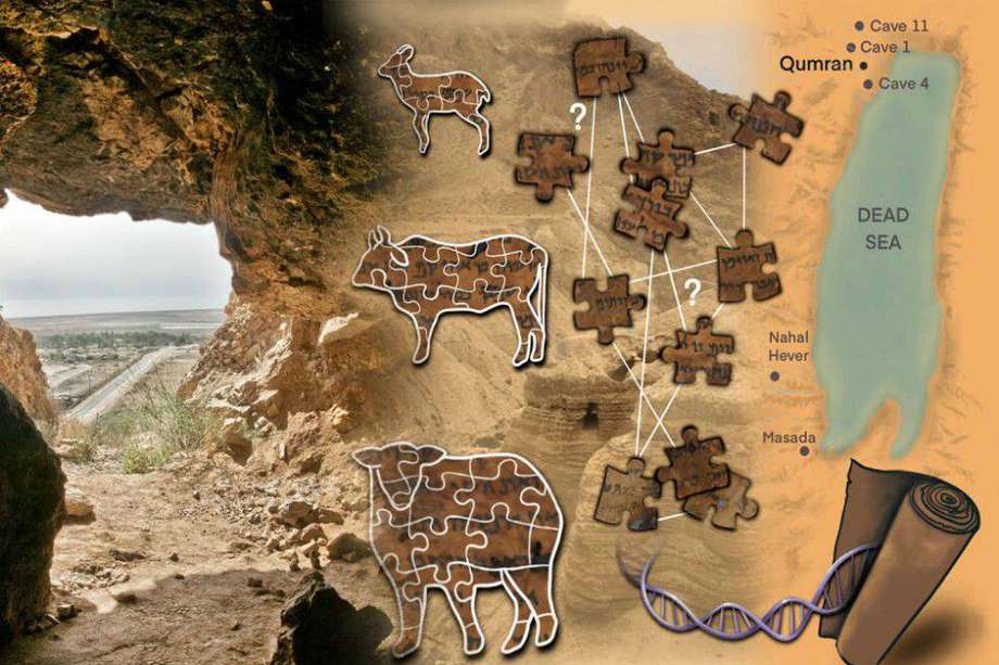 Los científicos tratan de encajar las piezas de los Rollos del Mar Muerto analizando el ADN de las pieles con los que fueron fabricados. A la izquierda, una de la cuevas de Qumrán donde se encontraron.