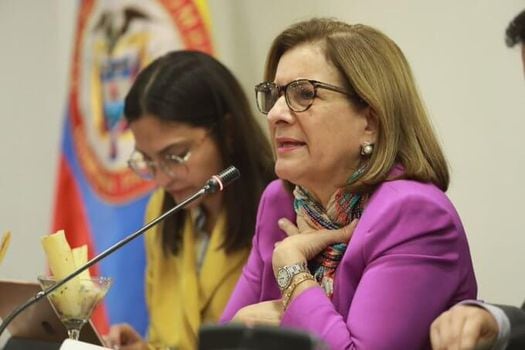 La ministra Margarita Cabello socializó el borrador con los senadores de la Comisión Primera.  / Tomada de @MinJusticiaCo
