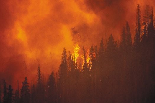 El fuego ventoso arde a lo largo de una cresta en el Bosque Nacional de Sequoia, California, el 20 de septiembre de 2021. El ex gobernador Jerry Brown ha calificado los megaincendios de California como "lo nuevo anormal", ya que el cambio climático hace que el estado sea más cálido y seco. / AP - Noah Berger.