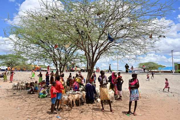 Los pastores de Kenia ahora confían más en el celular que en el cielo para buscar lluvia