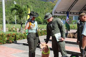 Se desarrolla el primer Simposio Internacional para aprender a cuidar perros policía