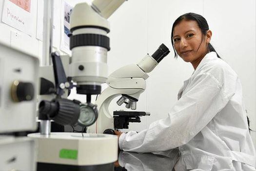 En Colombia hay más mujeres que hombres que se matriculan en la universidad (54%), pero son relativamente pocas las escogen carreras científicas y la mayoría de ellas prefieren estudias ciencias sociales y humanidades.  / ONU Mujeres - CIAT - Neil Palmer