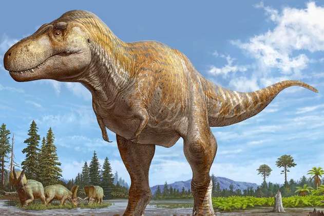 Encuentran especie de tiranosaurio nunca antes vista y sería nuevo pariente del T. rex