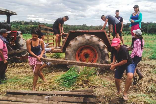 Una ‘vaki’ para apoyar proyectos productivos de exguerrilleros en Guaviare