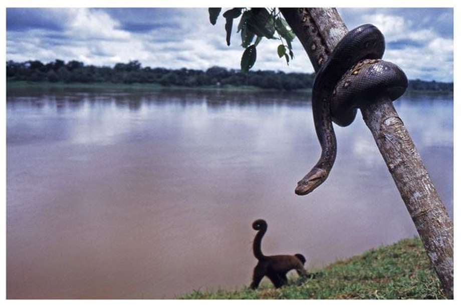Río Amazonas, un mar de agua dulce