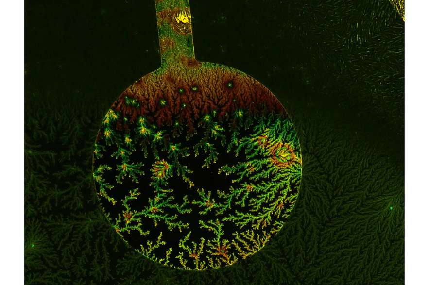 "Imagen de microscopio fluorescente del dominio de unión al receptor de la proteína de espiga del SARS-CoV-2", escribió el Instituto.