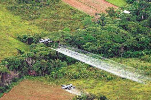 Según el Ministerio de Defensa, mediante aspersión aérea con glifosato se erradican por día entre 400 y 600 hectáreas de coca.