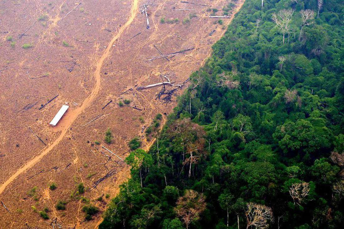 Algunos expertos señalan una relación directa entre los focos de incendio y el aumento ilegal de la deforestación en la Amazonia.