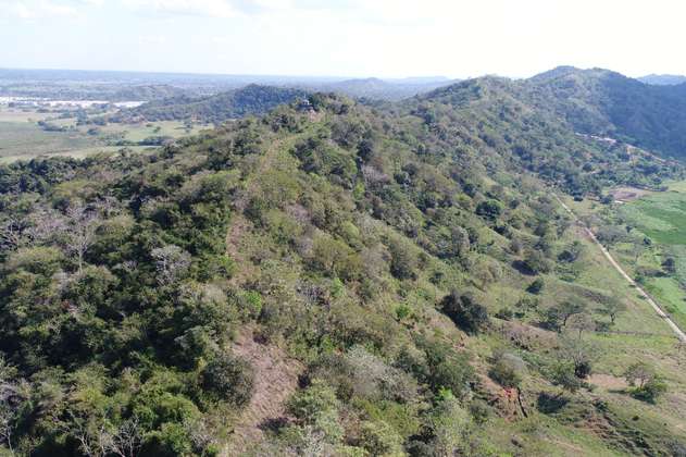 Protección de humedales en Montería, el camino para convertirse en “biodiverciudad”  