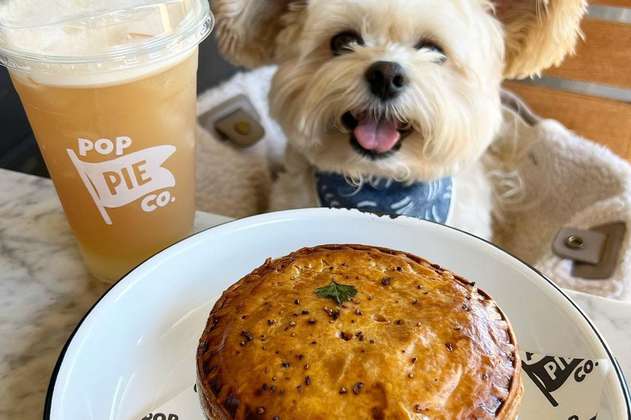 Popeye: el perro ‘foodie’ que vivía en la calle y ahora es una estrella en redes