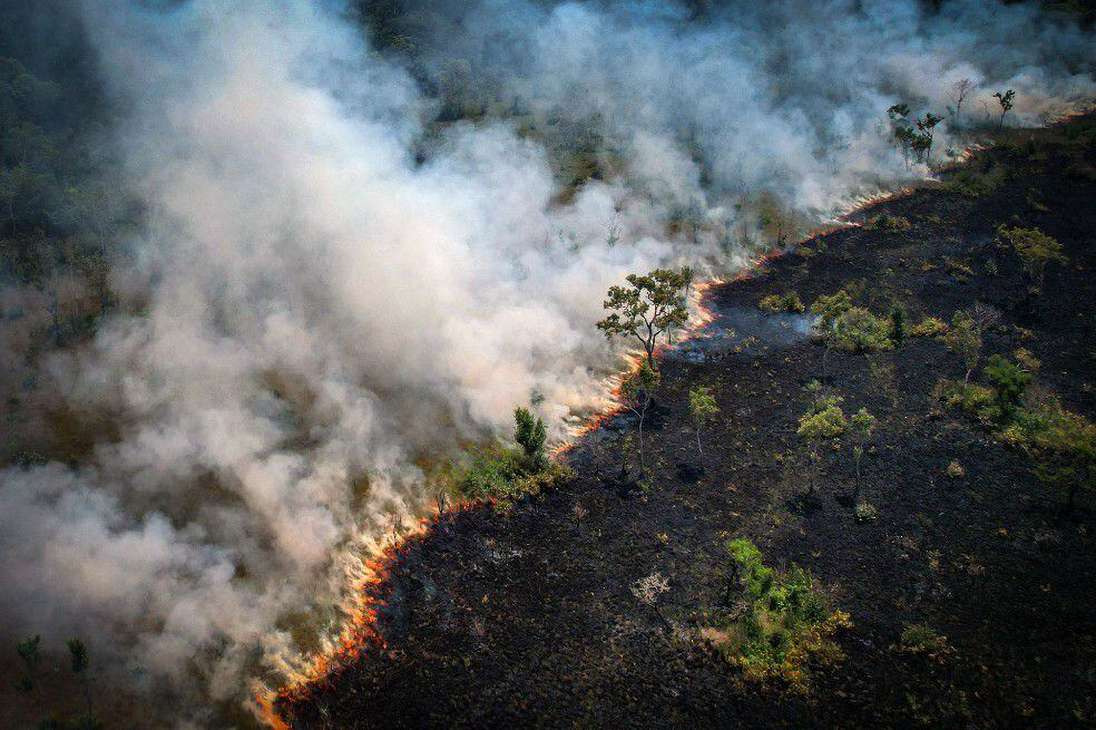 En agosto, la Amazonia brasileña tuvo el mayor número de incendios en lo que va corrido de 2022.