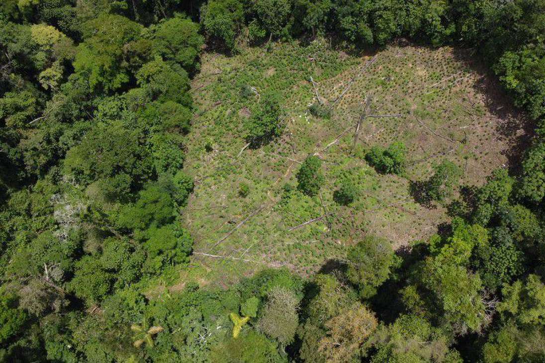 Las imágenes muestran puntos deforestados al interior del Parque Nacional Natural Paramillo, en los departamentos de Córdoba y Antioquia.